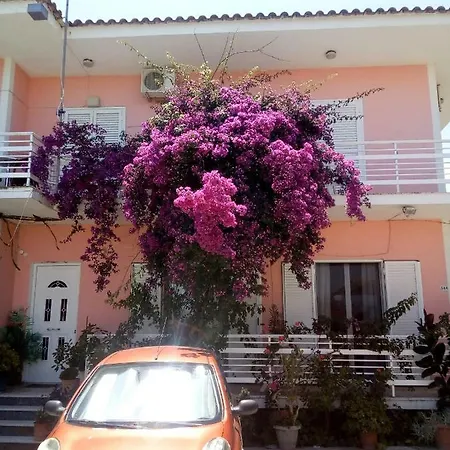 Angela Appartement Laganas